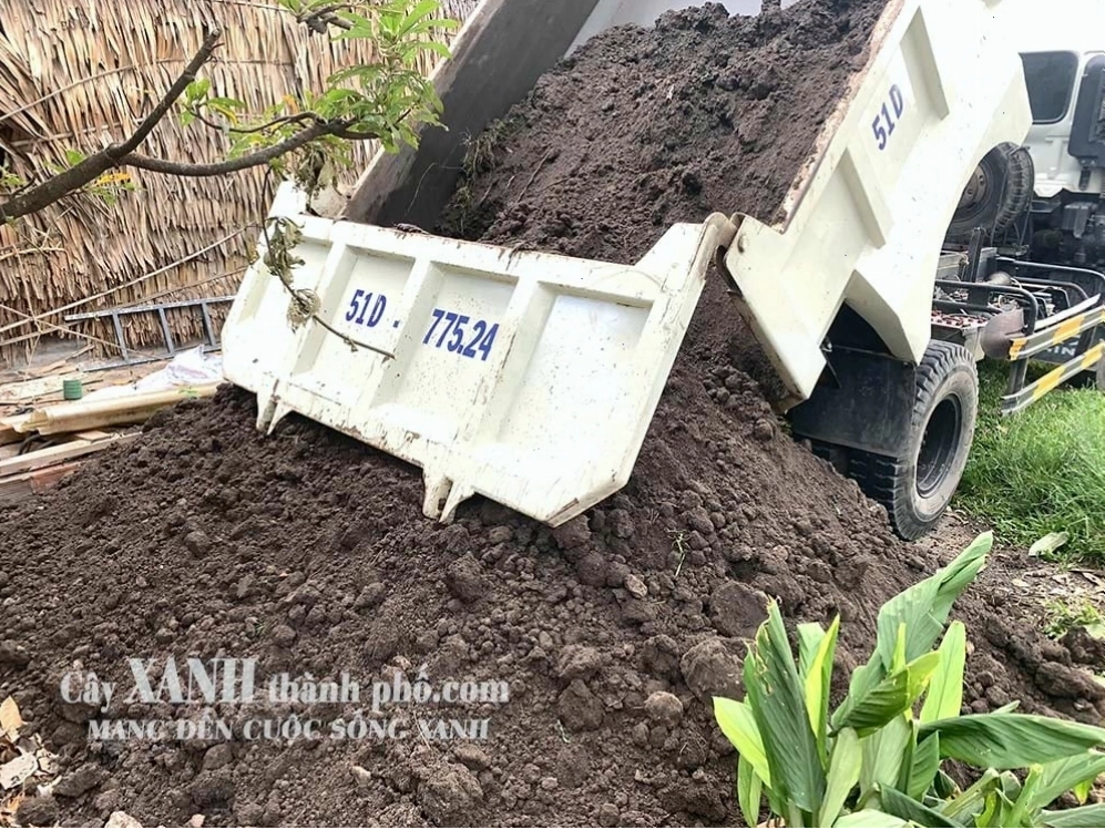 Chọn mua bao đất trồng cây tại các cửa hàng uy tín