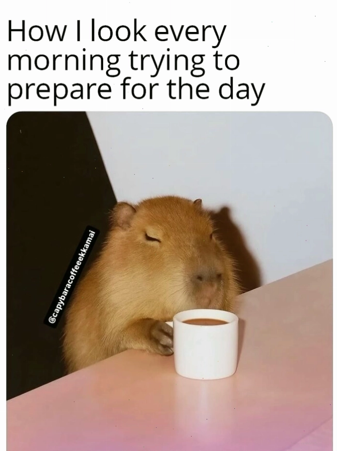 Chú capybara ngồi yên lặng giữa đám đông