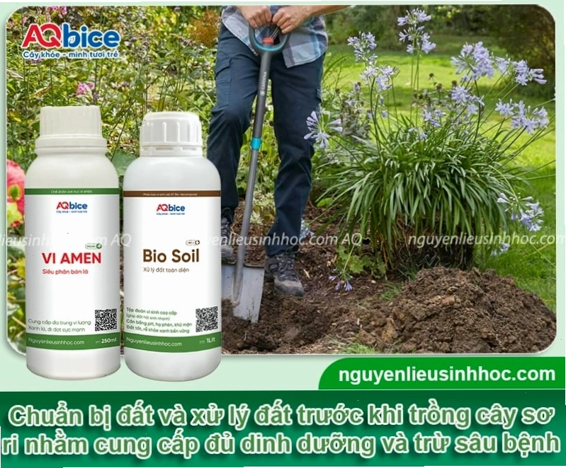 Chuẩn bị đất trồng tơi xốp giàu dinh dưỡng cho cây sơ ri