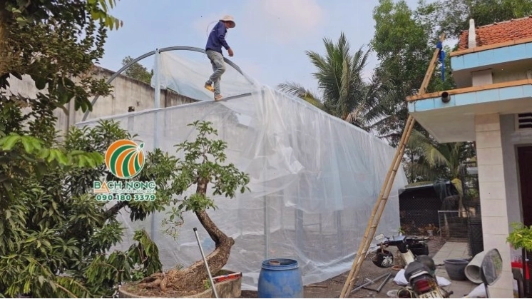 Công nhân đang tiến hành lợp màng PE cho nhà màng mini