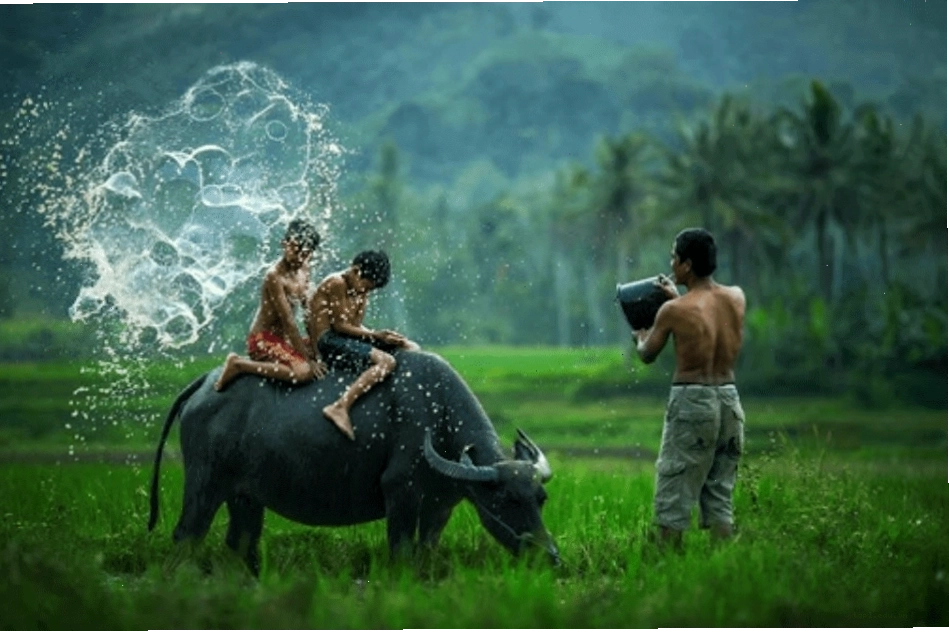 Cuộc sống nhộn nhịp trên chợ nổi Cái Răng