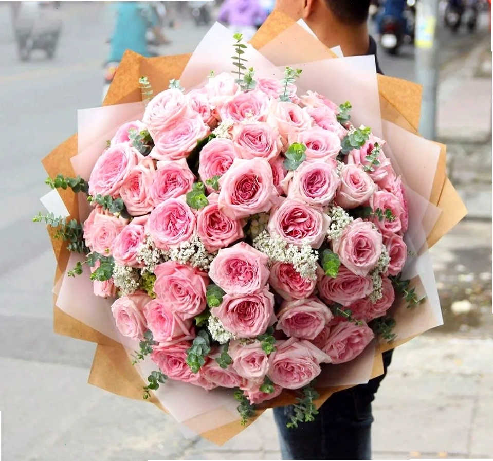Đặc điểm bông hoa hồng Ohara với nhiều cánh xếp lớp