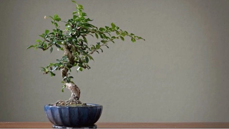 Đặc điểm tính cách nổi bật của người mệnh Thủy