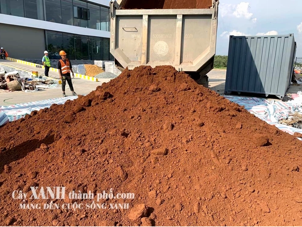Đất đỏ bazan phù hợp với nhiều loại cây trồng