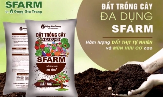 Đất SFARM chứa hàm lượng đất thịt, mùn hữu cơ tốt cho cây trồng