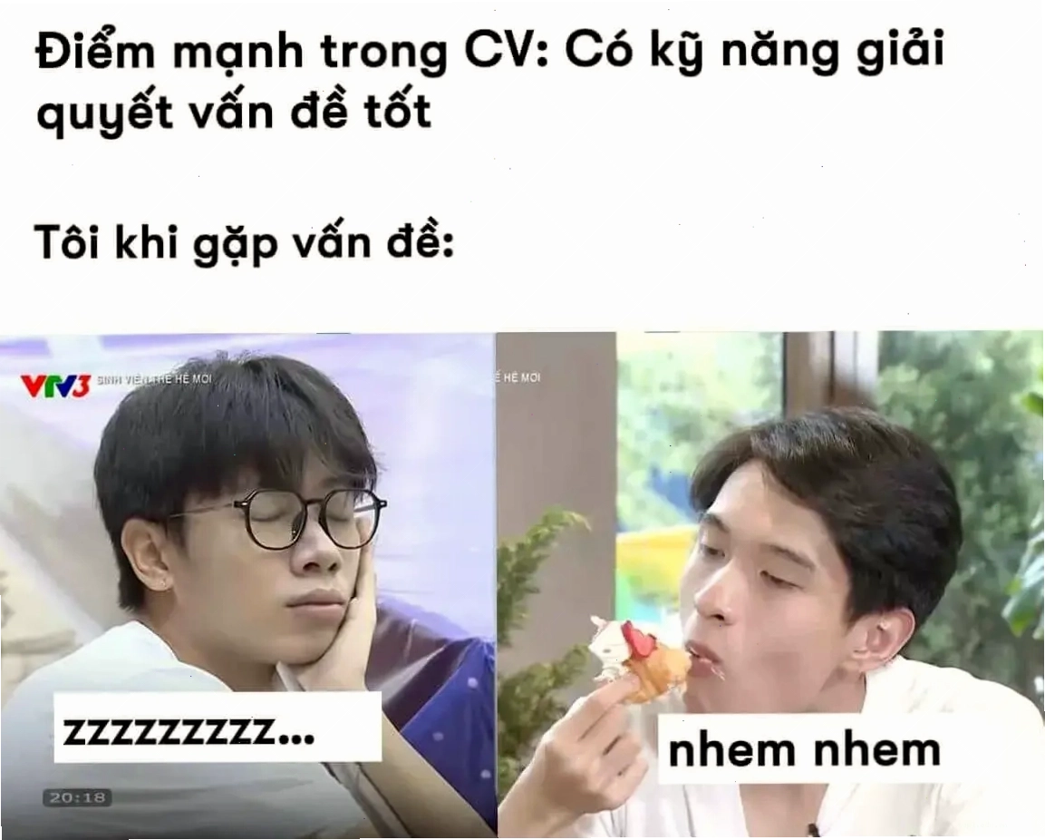 Điểm mạnh trong CV: Khả năng giải quyết vấn đề tốt - Meme về vấn đề kỹ năng