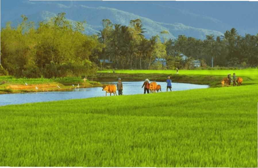 Động Phong Nha – Kẻ Bàng với vẻ đẹp kỳ ảo