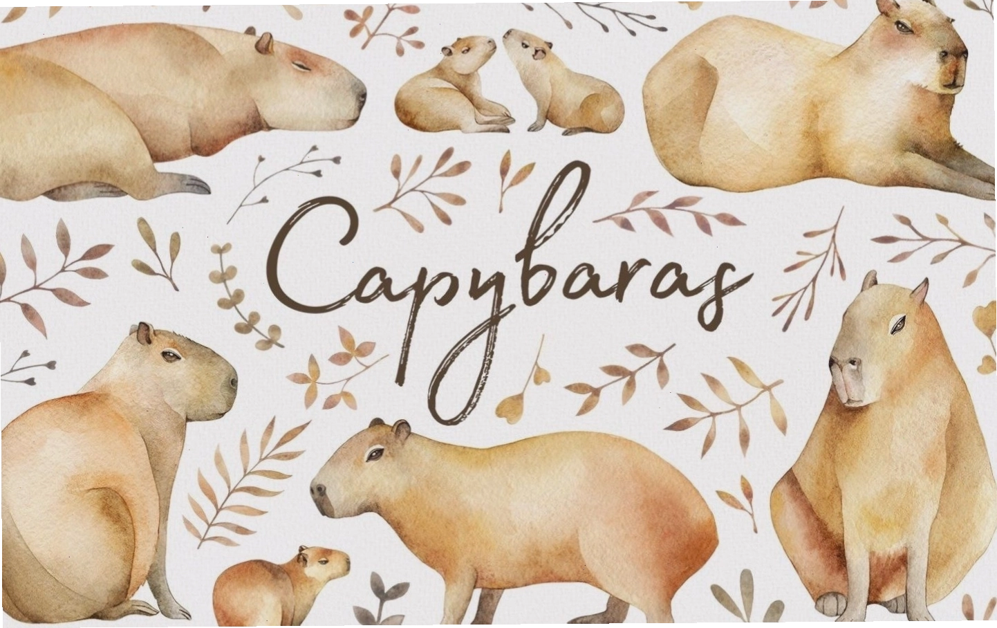 Hình nền Capybara dễ thương và siêu đáng yêu