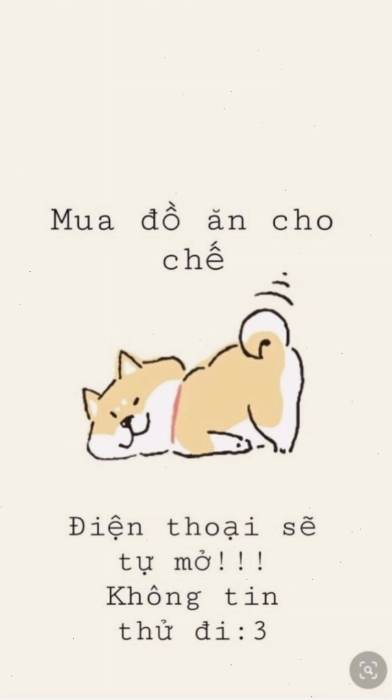 Hình nền máy tính với chú mèo ngồi bên cửa sổ ngắm mưa