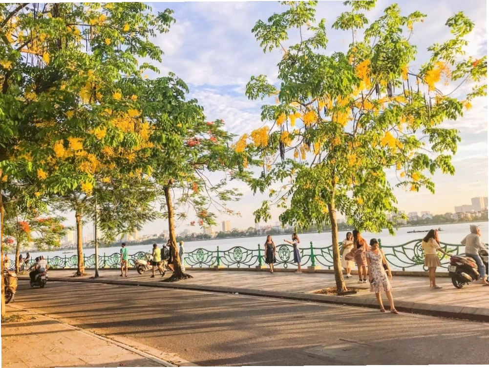 Hồ Tây là không gian thư giãn, điểm đi dạo quen thuộc của người dân địa phương