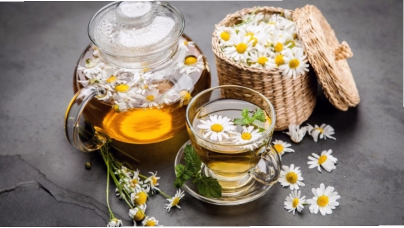 Hoa cúc trắng được dùng trong y học cổ truyền để điều trị nhiều bệnh