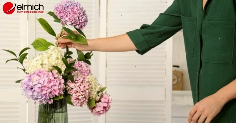 Hoa và lá tú cầu có độc, cần cẩn thận khi sử dụng