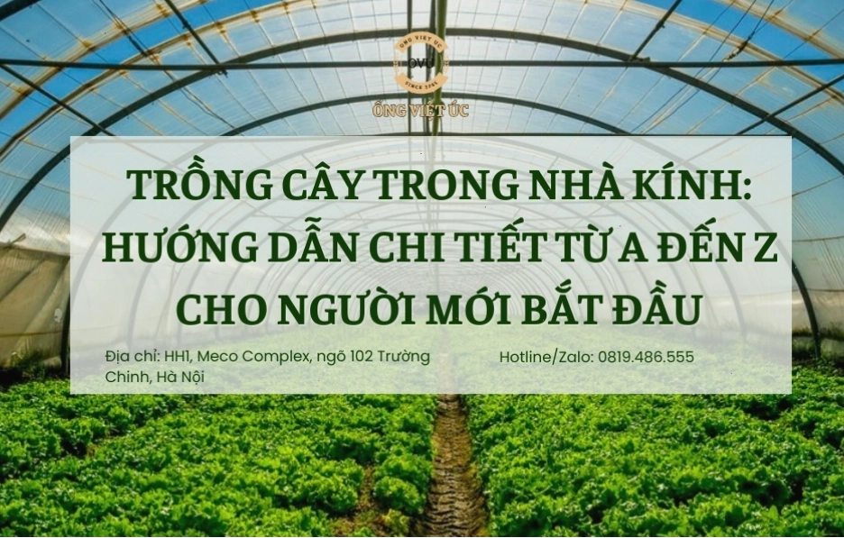 Hướng dẫn chi tiết về trồng cây trong nhà kính