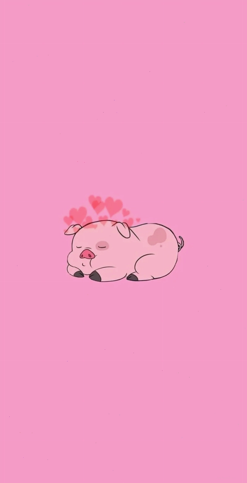 Khám phá thế giới chibi heo ngộ nghĩnh cực vui