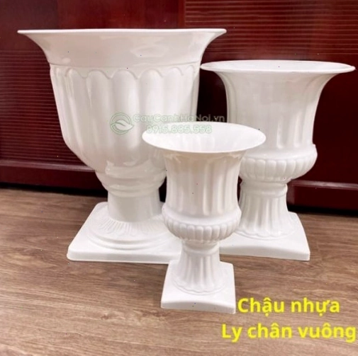 Kích thước chậu nhựa ly chân vuông