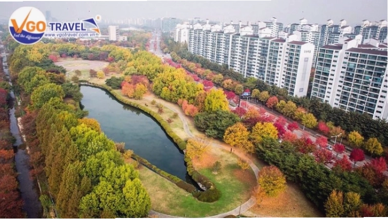 Lễ hội hoa tại công viên Ilsan