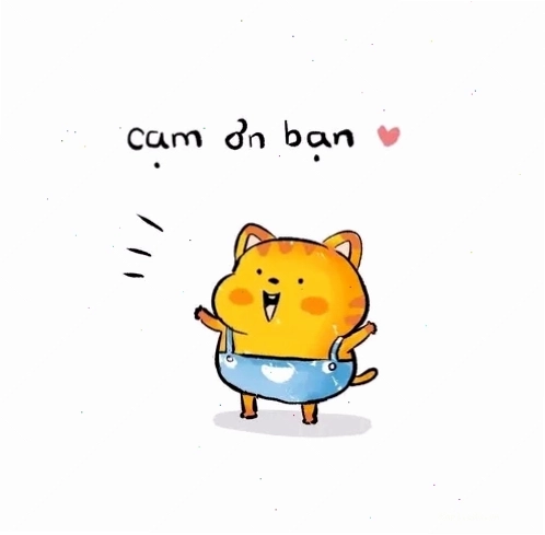 Meme cảm ơn giúp xoa dịu không khí và tạo sự gần gũi