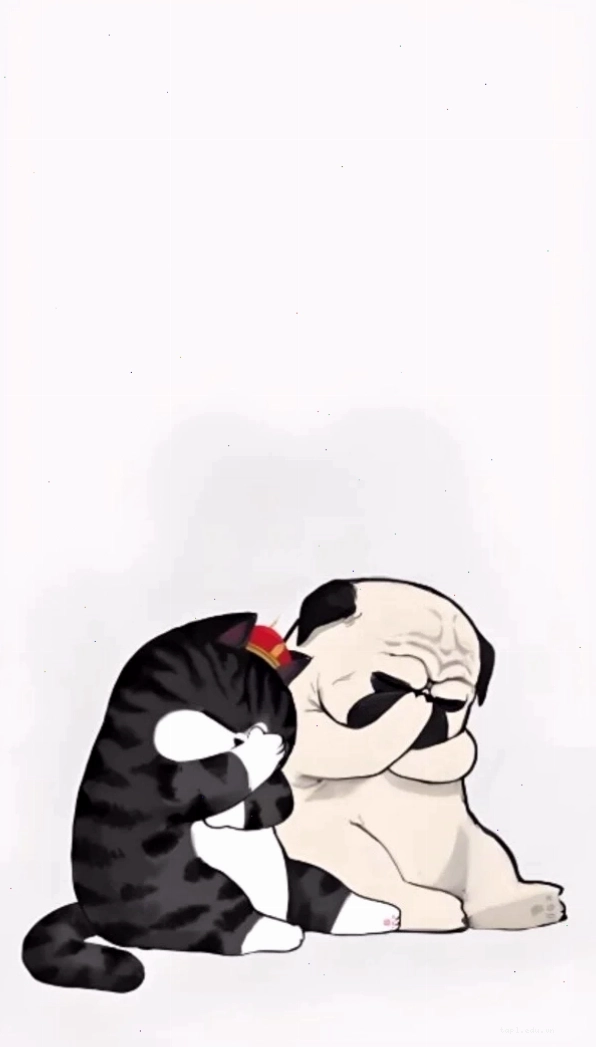 Meme chó mèo đau đầu minh họa sự khó xử