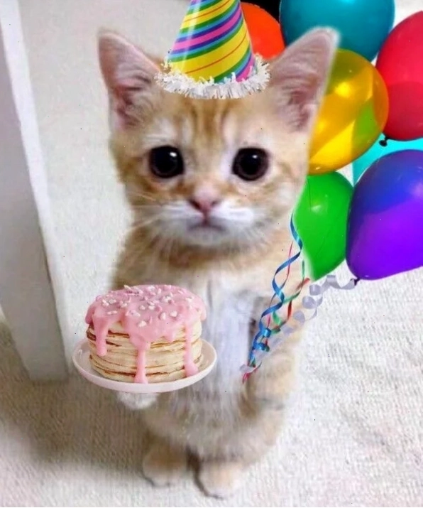 Meme chúc mừng sinh nhật hài hước