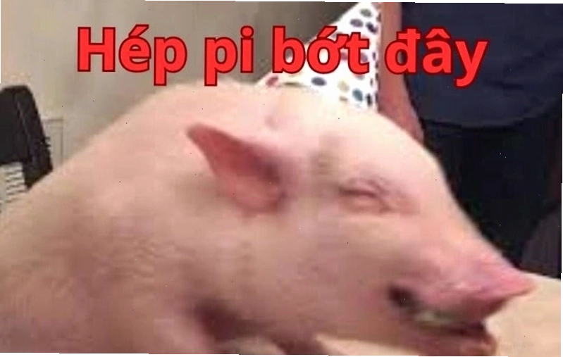Meme chúc mừng sinh nhật hình chú chó đáng yêu đang ăn bánh
