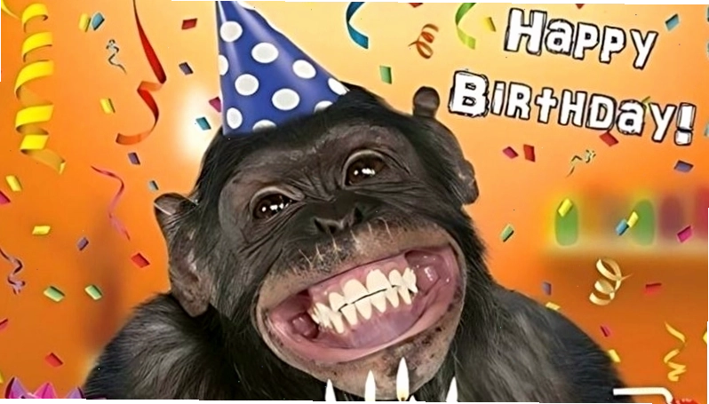 Meme chúc mừng sinh nhật với thông điệp ý nghĩa về tuổi tác