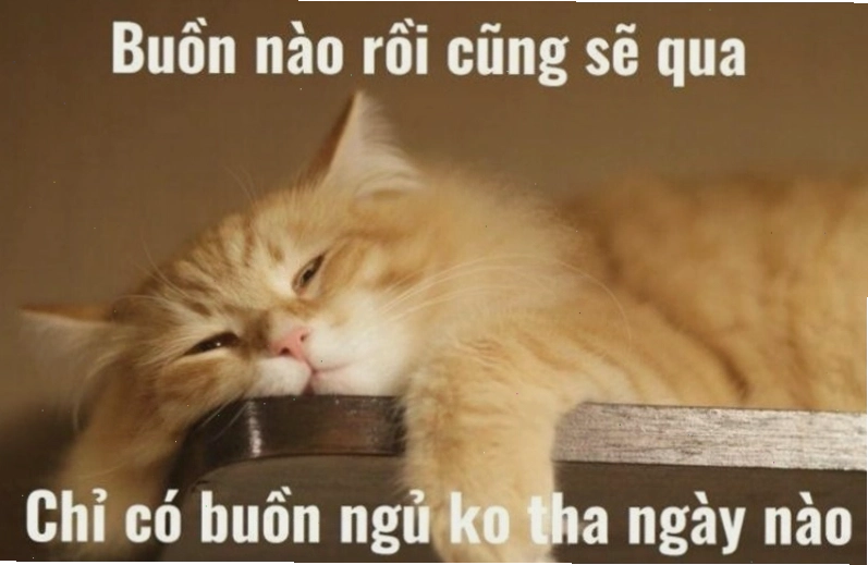 Meme chúc ngủ ngon với hình ảnh chú chó đang ngủ gật