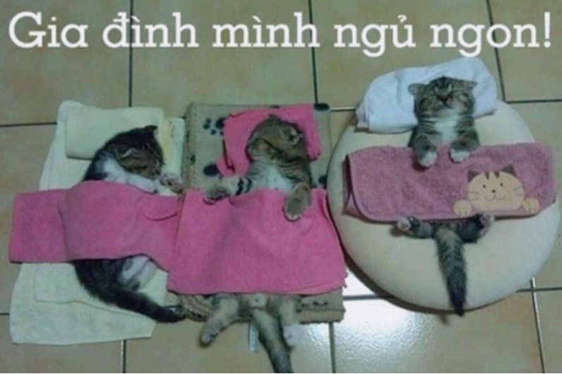 Meme chúc ngủ ngon với hình ảnh thư giãn