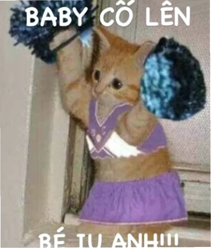 Meme cố lên đáng yêu với hình ảnh chú mèo
