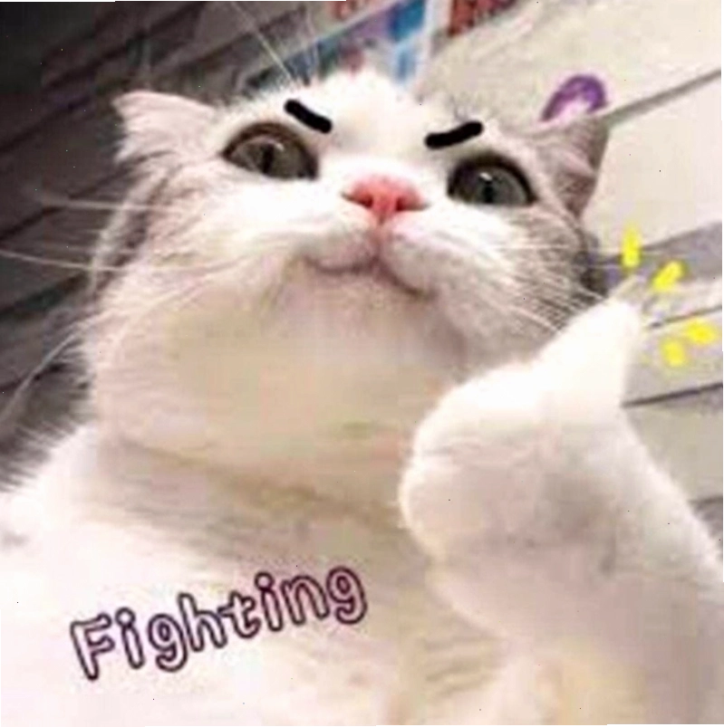 Meme cố lên ý nghĩa với hình ảnh động vật