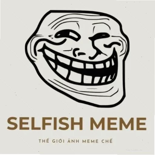 Meme con mèo biểu cảm hài hước