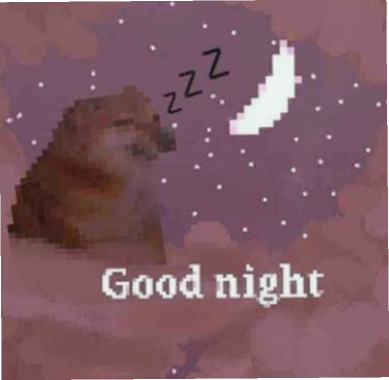 Meme dễ thương về giấc ngủ
