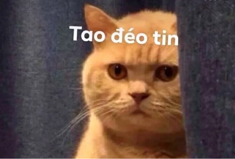 Meme đéo tin với hình ảnh chế hài hước