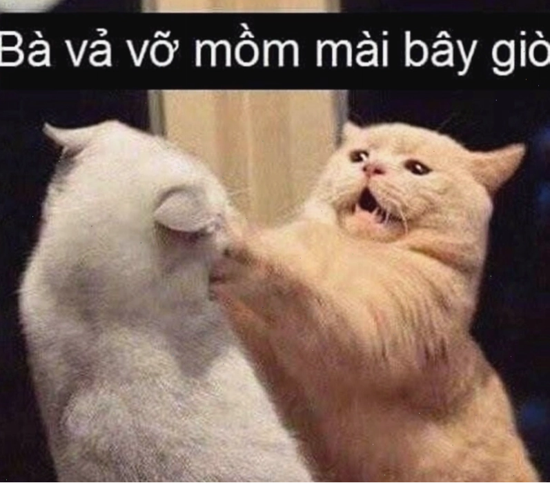 Meme "đội sổ" với khuôn mặt méo mó