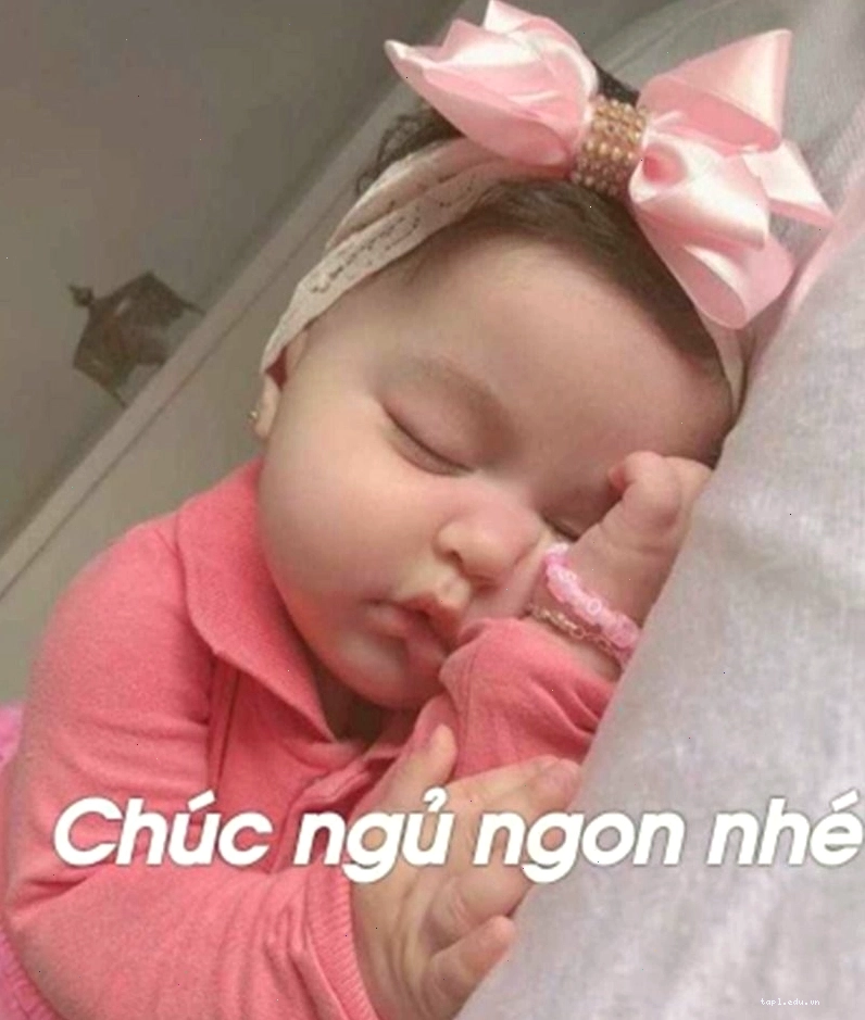 Meme động vật chúc ngủ ngon