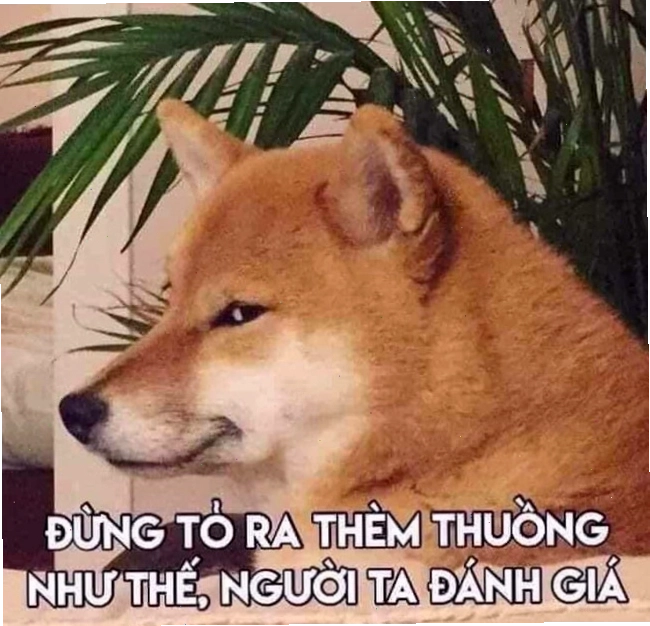 Meme ⚡ Đừng tỏ ra thèm thuồng như thế người ta đánh giá, thể hiện sự lầy lội