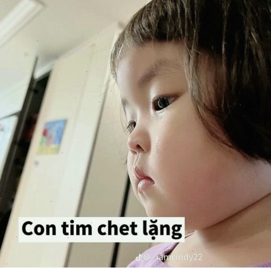 Meme em bé chết lặng với biểu cảm khó đỡ