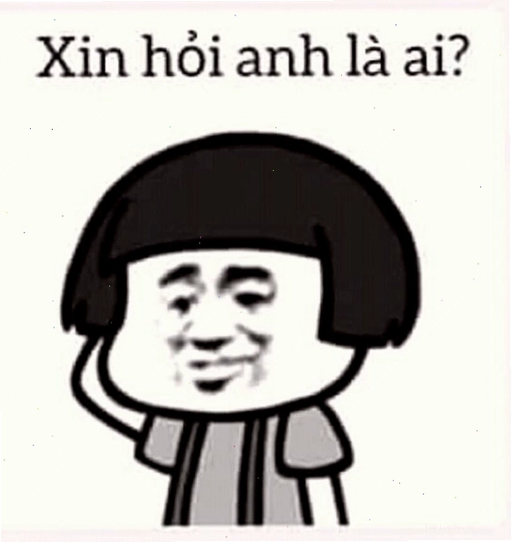 Meme gấu trúc ngơ ngác, khó hiểu