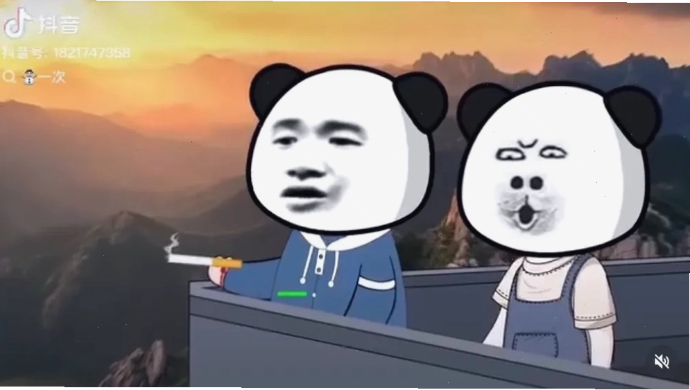 Meme gấu trúc với biểu cảm hài hước, bựa lầy