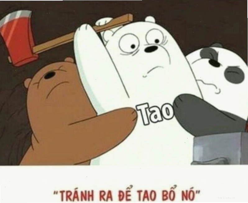 Meme hai chú chó "đánh nhau" tranh giành đồ chơi