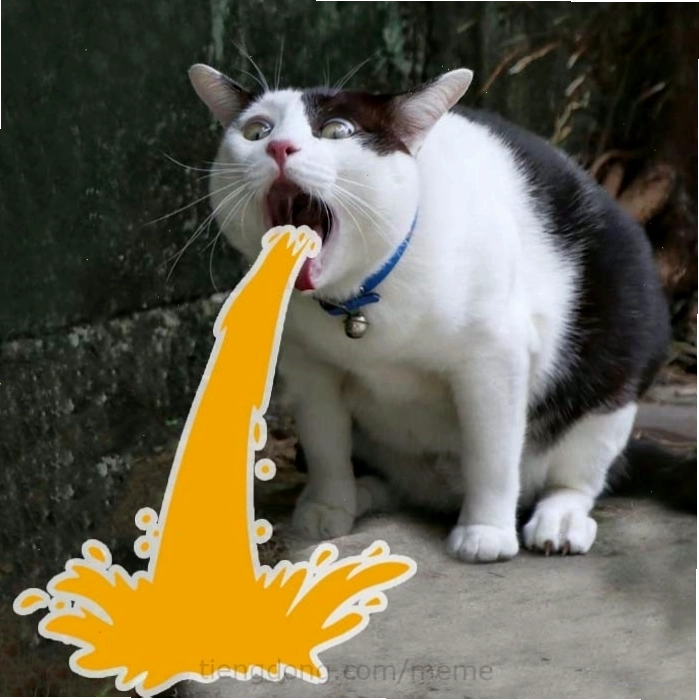 Meme mèo chuối với ánh mắt lơ đãng