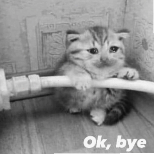 Meme mèo cute nói lời tạm biệt