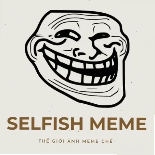 Meme mèo đánh đòn với vẻ mặt cau có hài hước