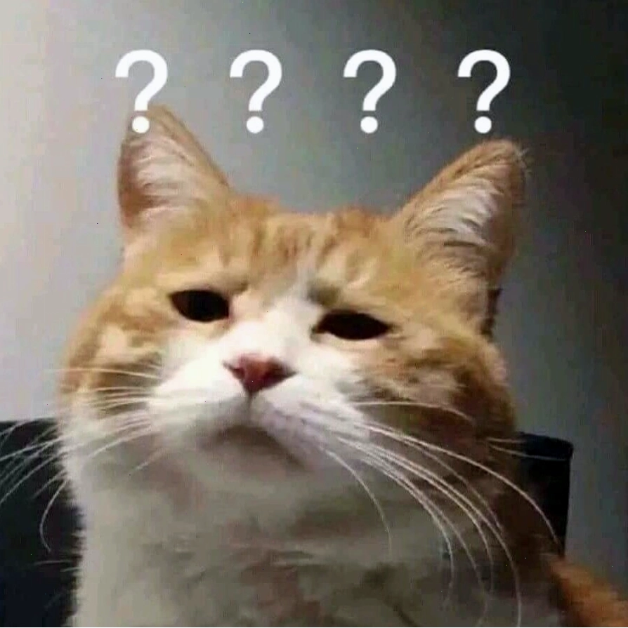 Meme mèo với biểu cảm 
