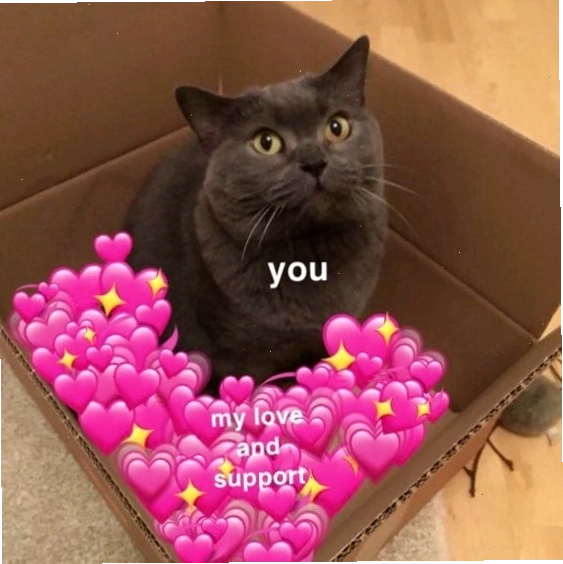 Meme mèo với đôi mắt to tròn đáng yêu
