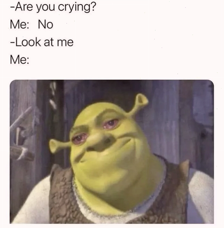 Meme Shrek crying