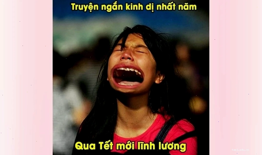 Meme Tết 2026 vui nhộn và sáng tạo