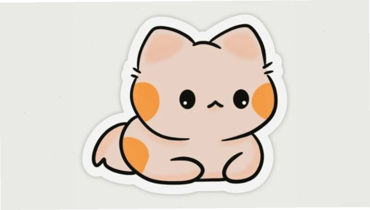Mèo cute chibi đang ngủ say sưa với biểu cảm vô cùng đáng yêu