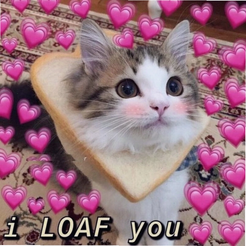 Minh họa cách sử dụng meme tình yêu trong giao tiếp hàng ngày