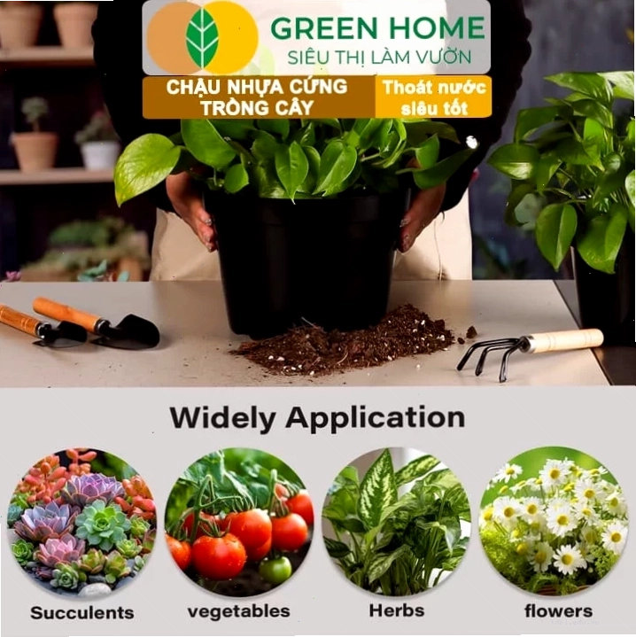 Người dùng đang bón phân cho cây trồng trong chậu nhựa