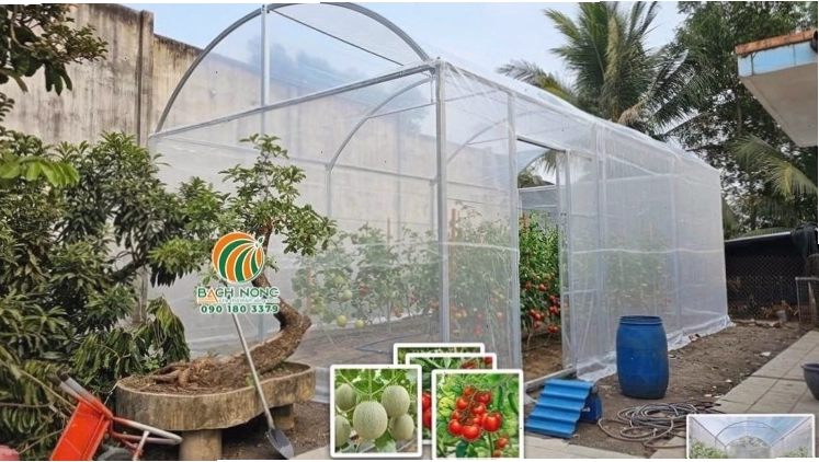Nhà kính mini tự lắp ráp, phù hợp cho quy mô hộ gia đình